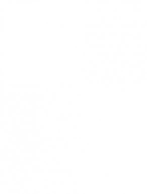 Mix Goji - 100% Natural