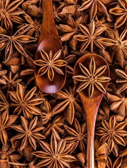 Estrelas de Anis - Fruto