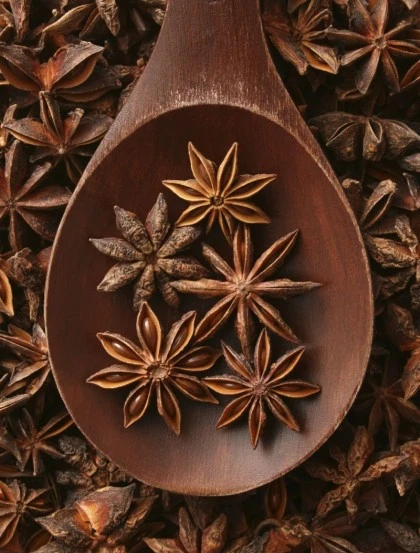 Estrelas de Anis - Fruto