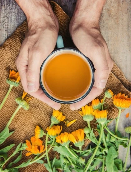 Calêndula Officinalis - Flor