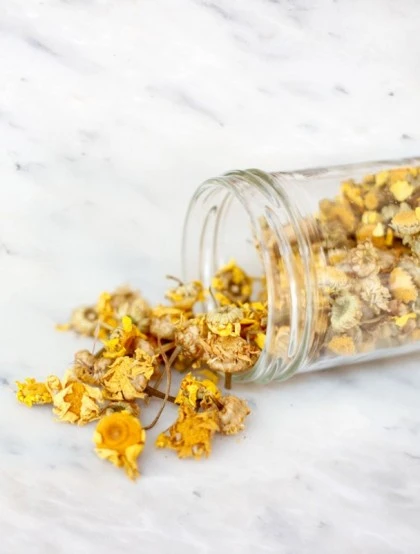 Calêndula Officinalis - Flor