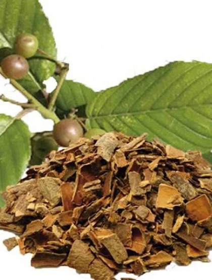 Cascara Sagrada - Casca