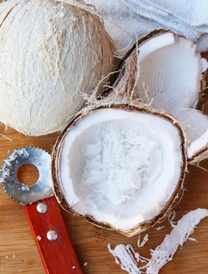 Coco Ralado - Desidratado