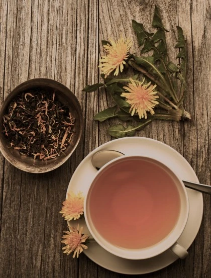 Diente de León - Raíces