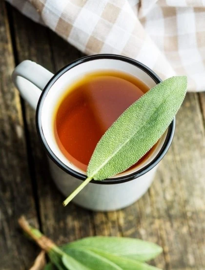 Echter Salbei Officinalis - Blätter