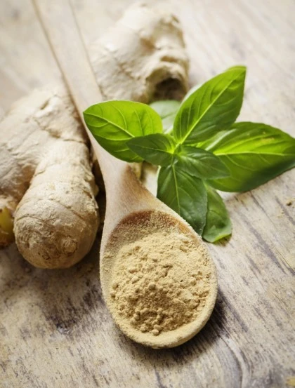 Gengibre Extra - Pó