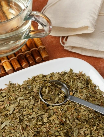 Gingko Biloba - Folhas