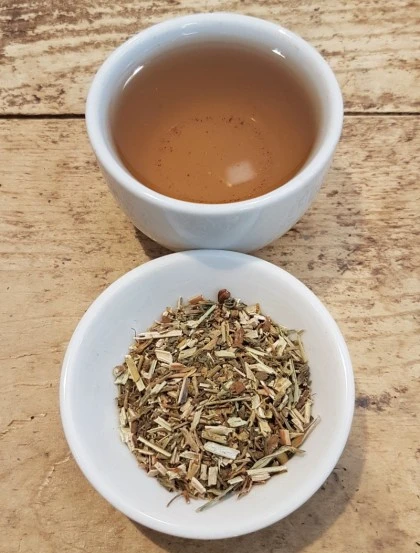 Hipericão do Gerês - Planta