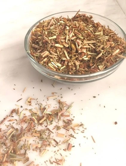 Hipericão do Gerês - Planta