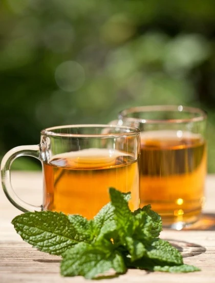 Hortelã Pimenta - Planta