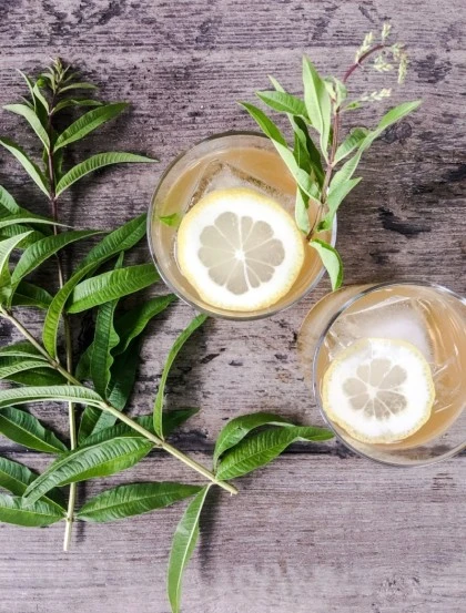 Hierba Luisa - Hojas