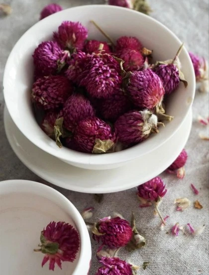 Perpétua Roxa - Flor