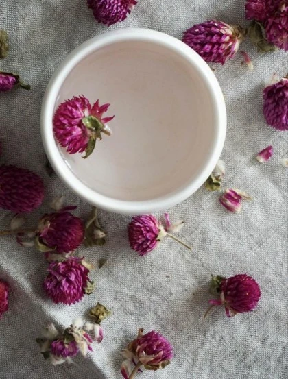 Perpétua Roxa - Flor