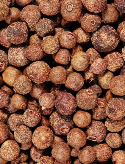 Pimenta Jamaica - Grão