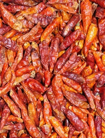 Piri-Piri Olho de Pássaro - Malagueta