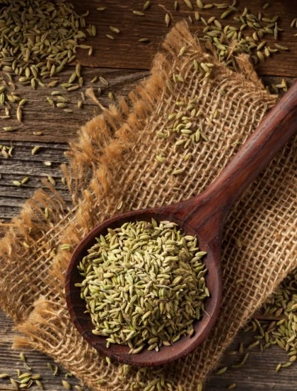 Sementes de Erva Doce - Grão