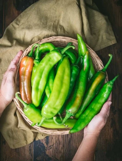 Chilli Pickle Hot - Pasta