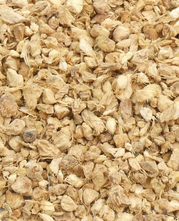 Gengibre Pedaços - Raiz