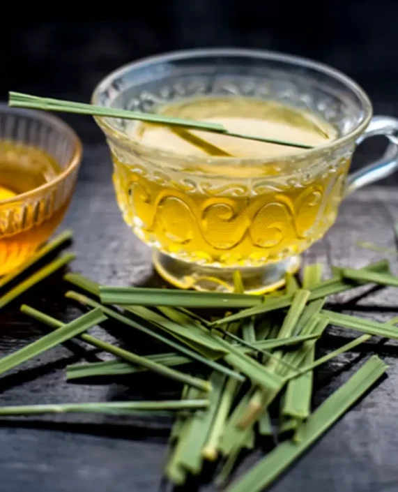 Erva Príncipe - Folhas