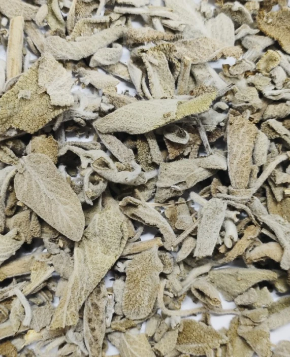 echter-salbei-officinalis-(blatter)